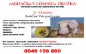 Zabíjačka v Lomnici.JPG Zabíjačka v Lomnici.JPG