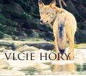vlcie-hory.jpg vlcie-hory.jpg