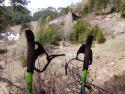 nordic walking_2.jpg nordic walking_2.jpg